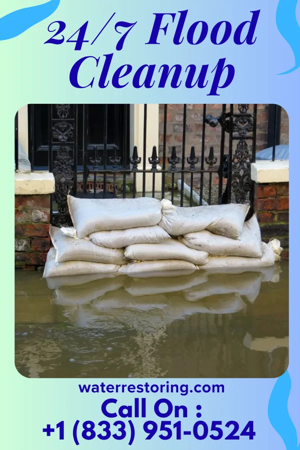24/7 Flood Cleanup in Westwood, MO