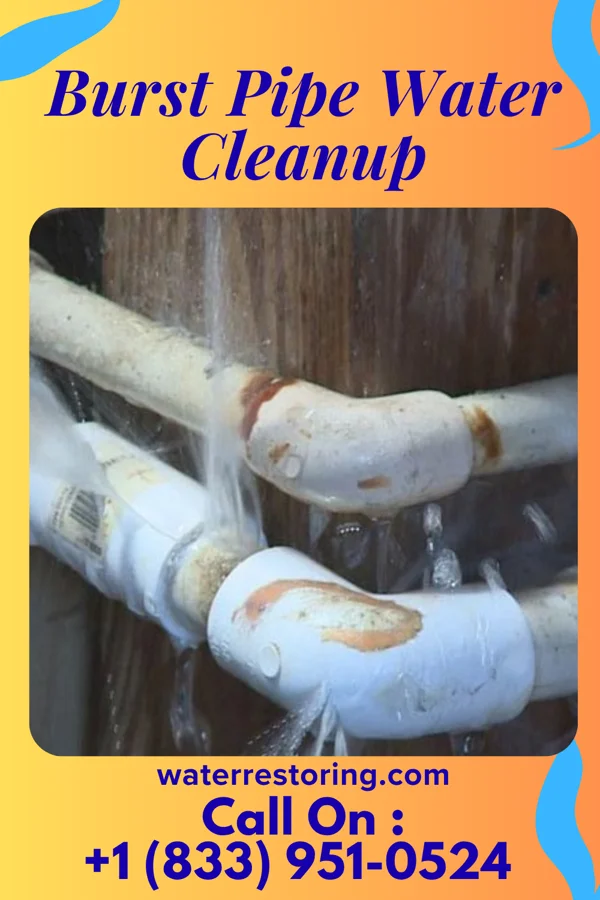 Burst Pipe Water Cleanup in Westwood, MO